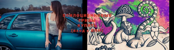 прущий лед Алексеевка