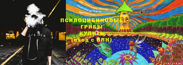 прущий лед Алексеевка